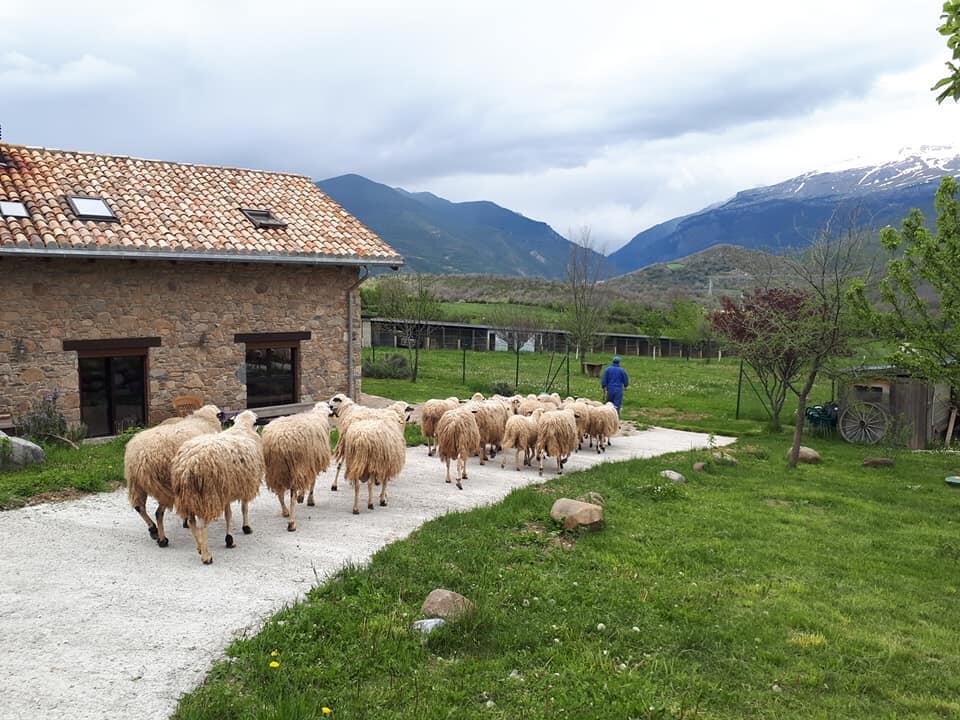 Albergue A'Noguera Castiello de Jaca Luaran gambar